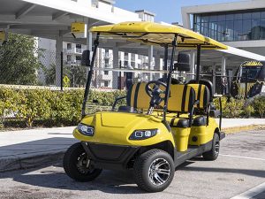 plantation golf cart repair, golf cart service, mobile repair